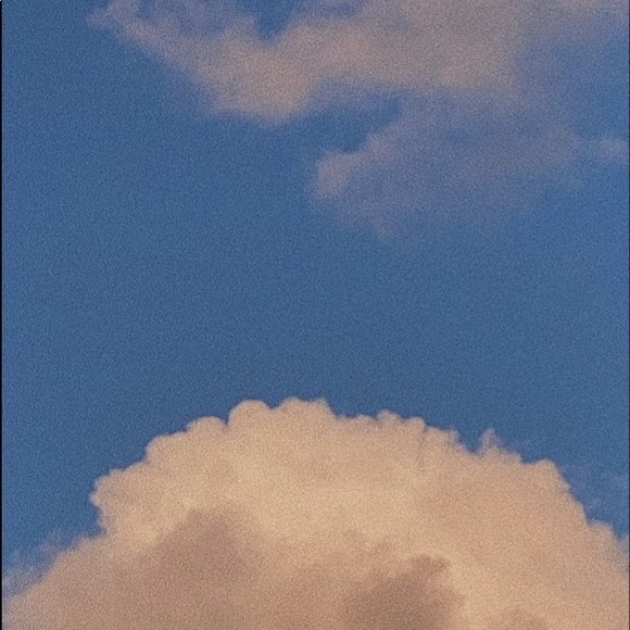 Meet your Posher, Sophie - Picture 1 of 1